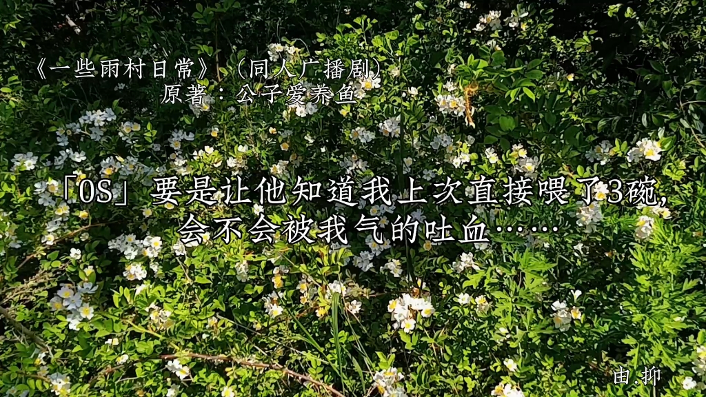 [图]《一些雨村日常》盗墓笔记同人广播剧