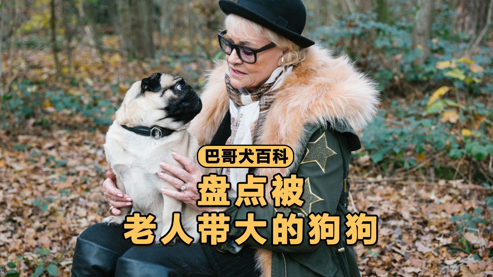 爷爷的狗比爸爸大