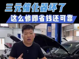 Download Video: 能修的就不换总成，大众发动机故障报警，三元催化效率过低维修