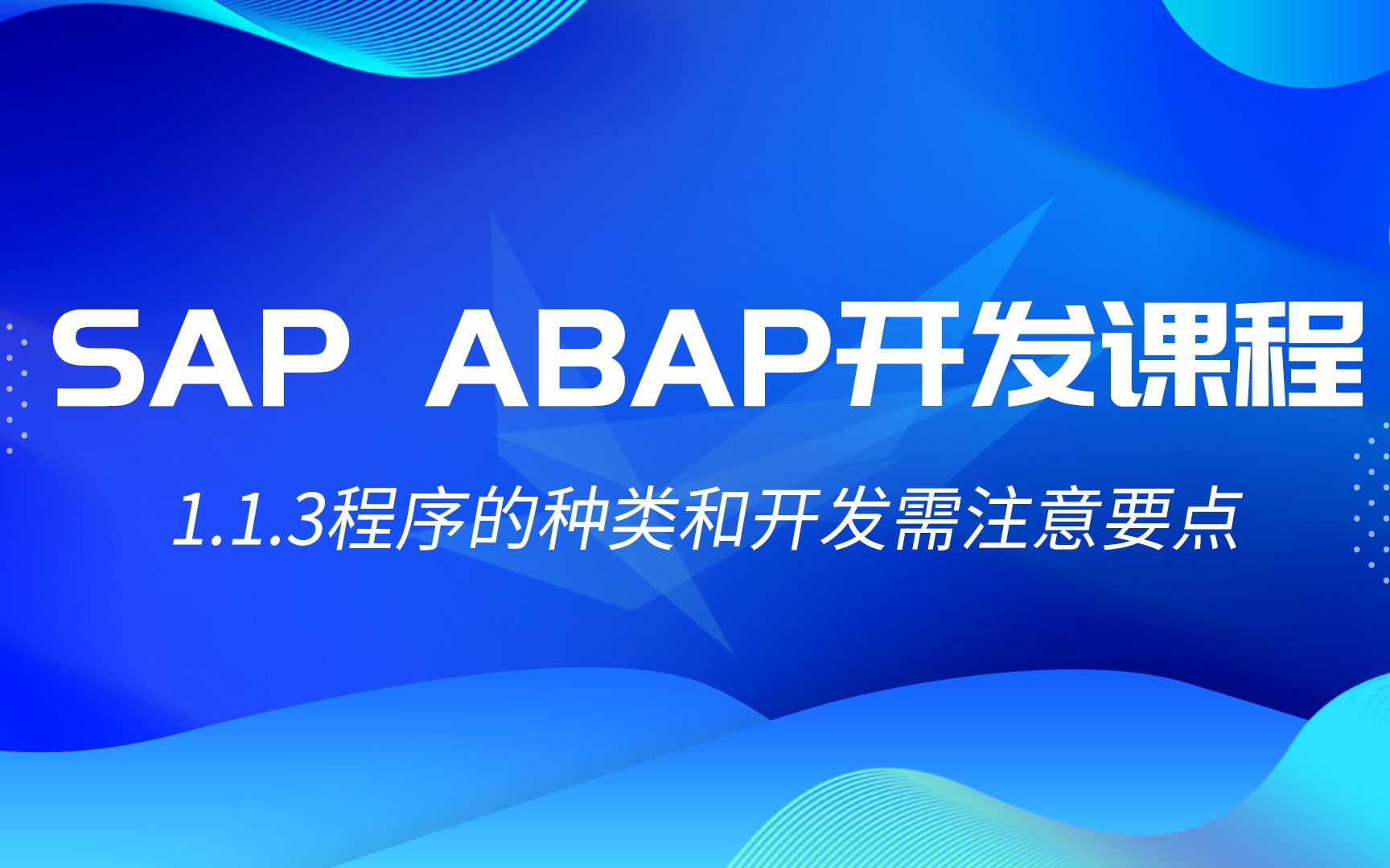 【SAP ABAP基础教程】1.1.3程序的种类和开发需注意要点哔哩哔哩bilibili