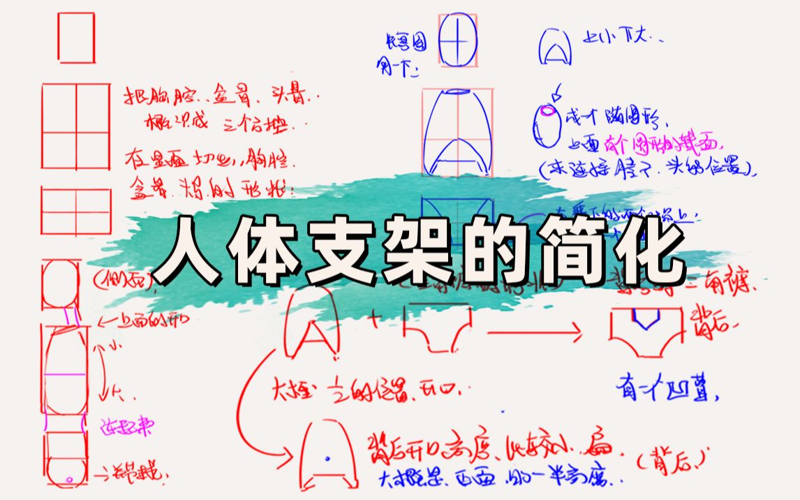 绘画笔记 | 人体支架如何简化概括?头胸胯的概括方法哔哩哔哩bilibili