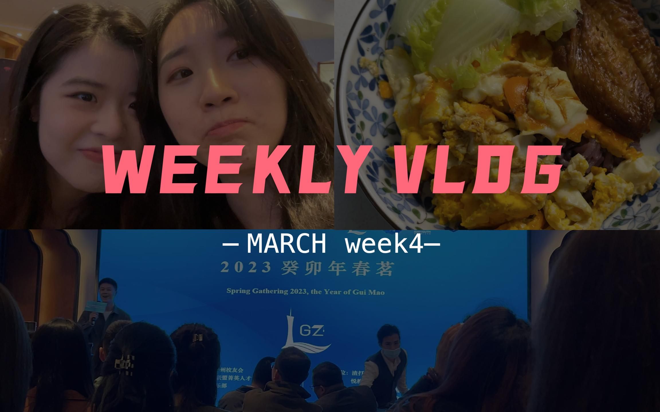 3月W4周末VLOG|和茹茹在一起一定超开心哔哩哔哩bilibili