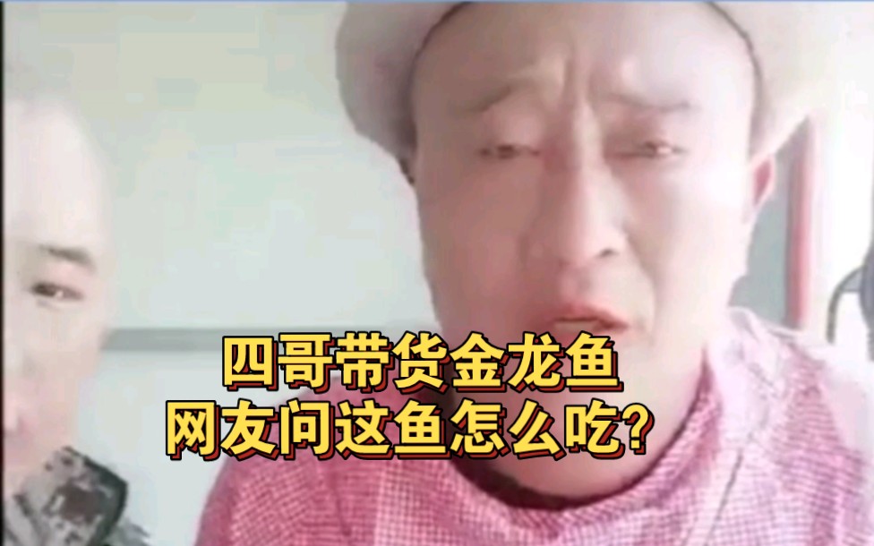 四哥带货金龙鱼,网友提问:这鱼怎么吃?能清蒸不?哔哩哔哩bilibili