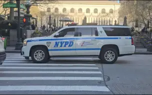 【NYPD TCU】纽约警察地铁管理局警犬单位 GMC育空XL警车街拍