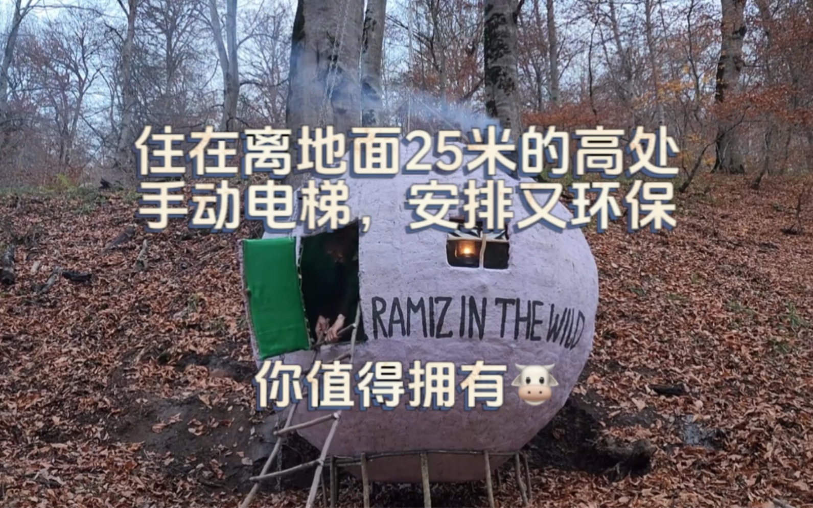 [图]荒野建造：男人在非常危险的森林探险，为了躲避狼和熊，住在离地面25米的高处