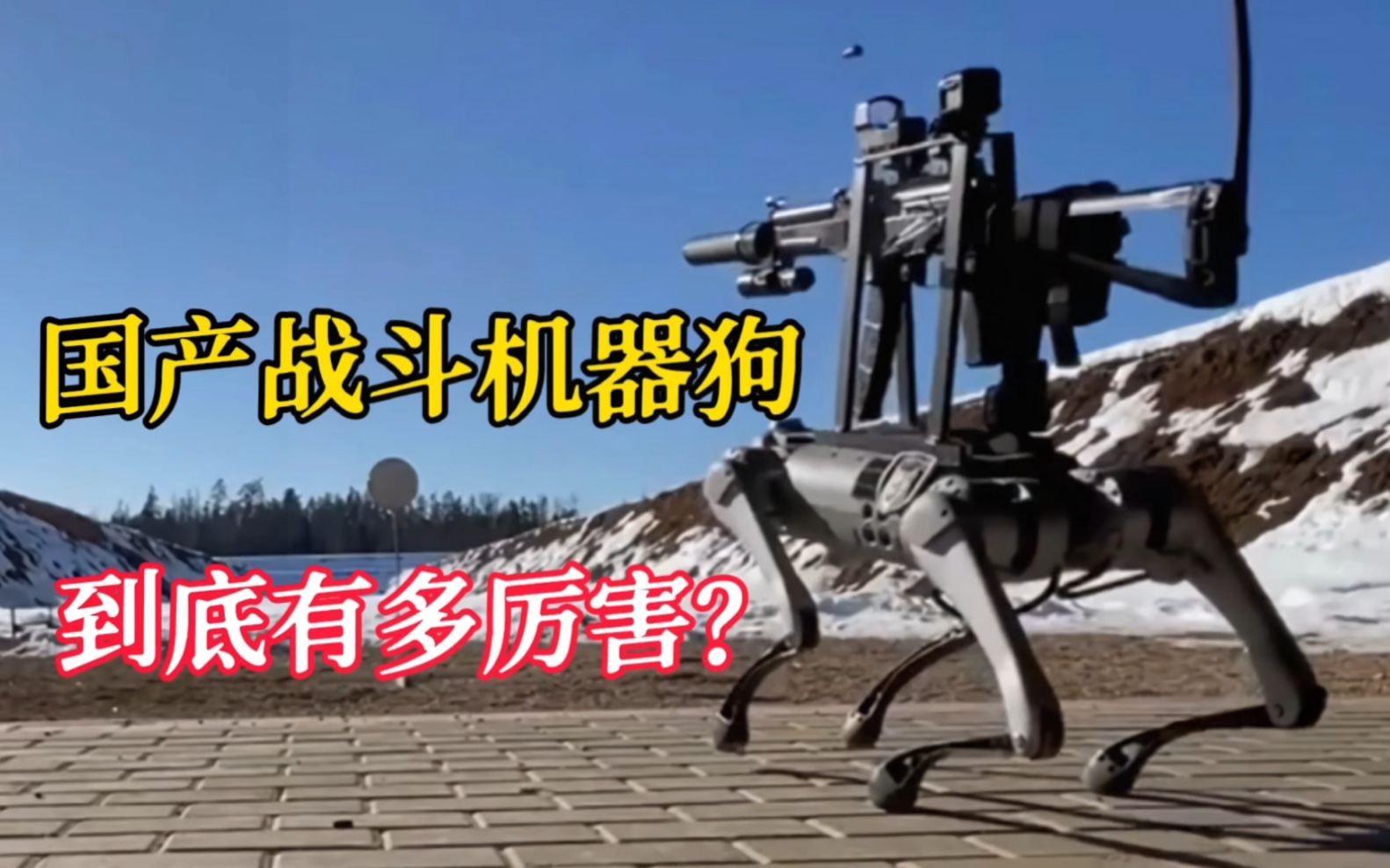 Welcome-球速体育最新国产机器狗亮相！四足机器人商用之路走向何方？
