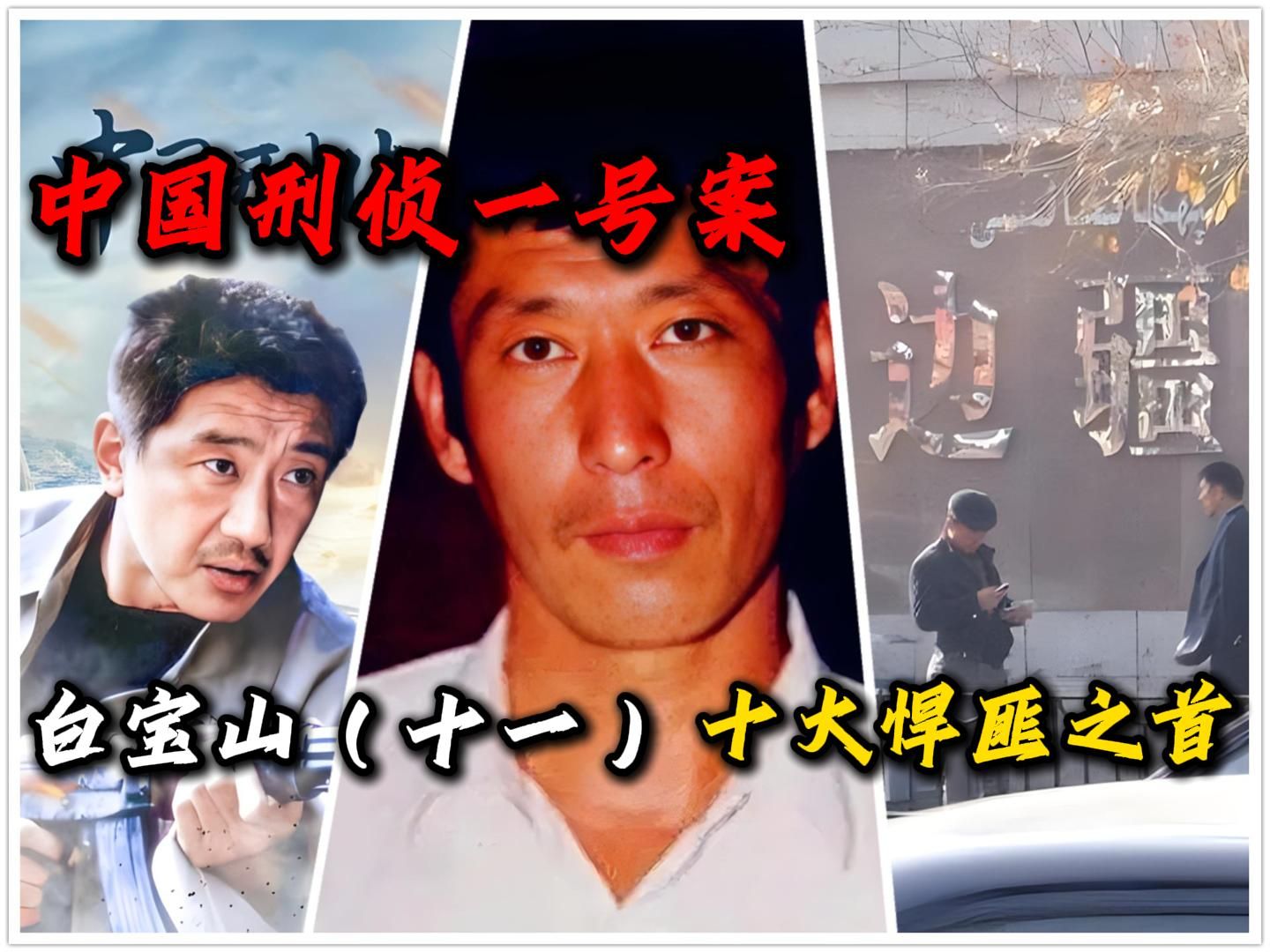 中国刑侦一号案-白宝山(十一)