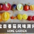 【生活】今年春播的8个品种的盆栽小番茄，风味测评来啦|番茄|春播|盆栽|种植|传家宝|西红柿|园艺|
