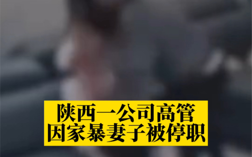 陕西一公司高管因家暴妻子被停职,省妇联多部门已介入哔哩哔哩bilibili