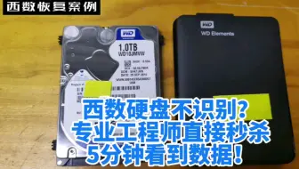 西数WD Elements1TB移动硬盘电脑不识别，直接秒杀，成功恢复  #杭州数据恢复中