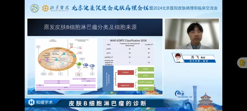 皮肤B淋巴瘤病理哔哩哔哩bilibili