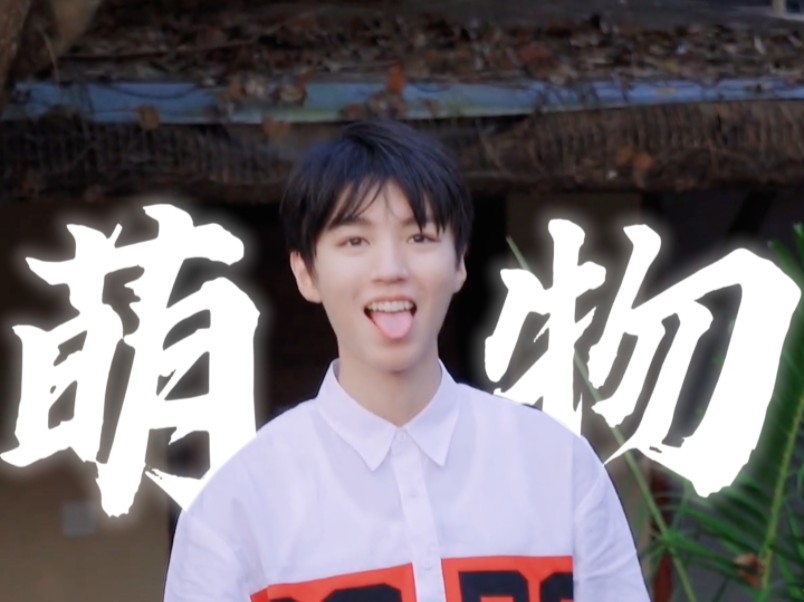 【王俊凯 | 恰好是少年】你 是 宇 宙 第 一 萌 物 !