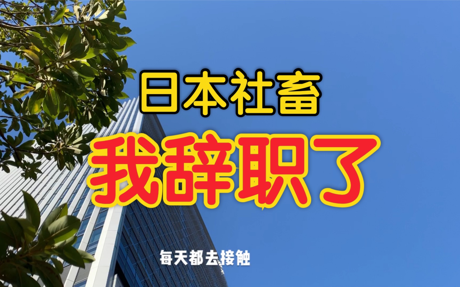 社畜为什么辞职,日本工作学到了什么|日本工作|日本求职|日本留学|日本生活哔哩哔哩bilibili