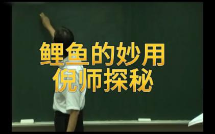 鲤鱼的妙用倪师探秘哔哩哔哩bilibili