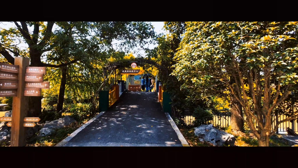 海宁神龙湾4k60帧