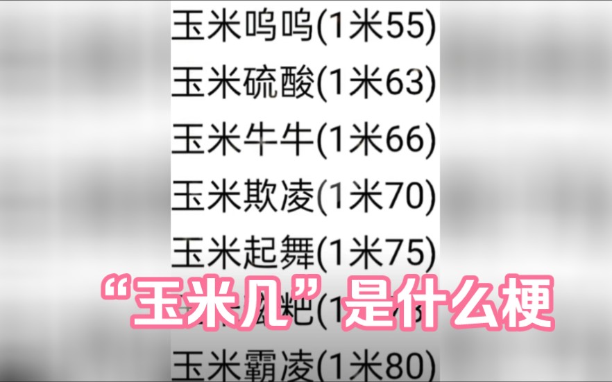 你玉米几啊?玉米几到底是什么梗?哔哩哔哩bilibili