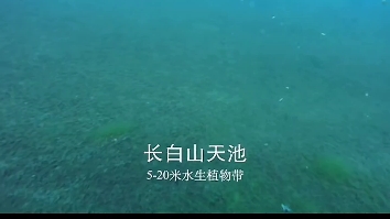 天池水下世界