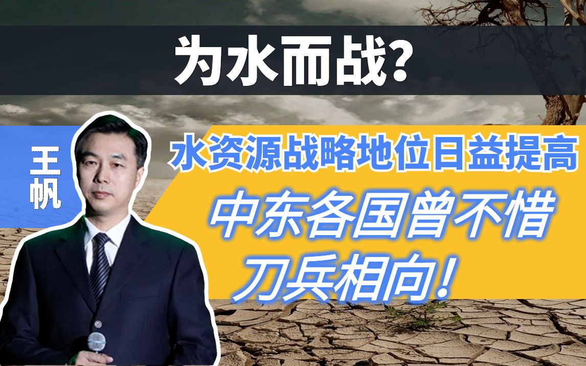 为水而战?水资源战略地位日益提高,中东各国曾不惜刀兵相向!哔哩哔哩bilibili