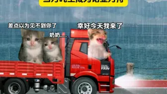 当万吨王成为诺亚方舟
