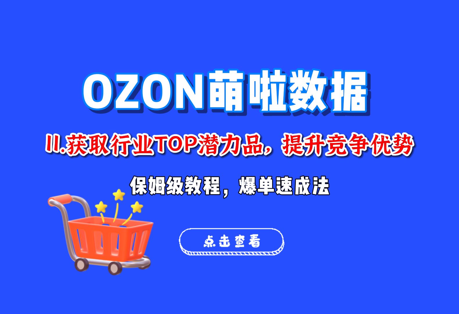 【Ozon热销蓝海潜力品】俄罗斯ozon新手卖家获取行业TOP热销蓝海潜力品实操保姆级教程(纯干货,关注领取ozon选品工具)哔哩哔哩bilibili