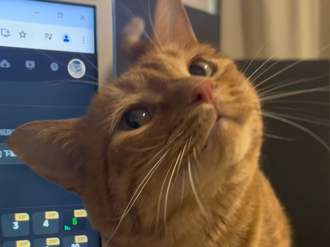 新招的扁头秘书上班不正经工作怎么办?