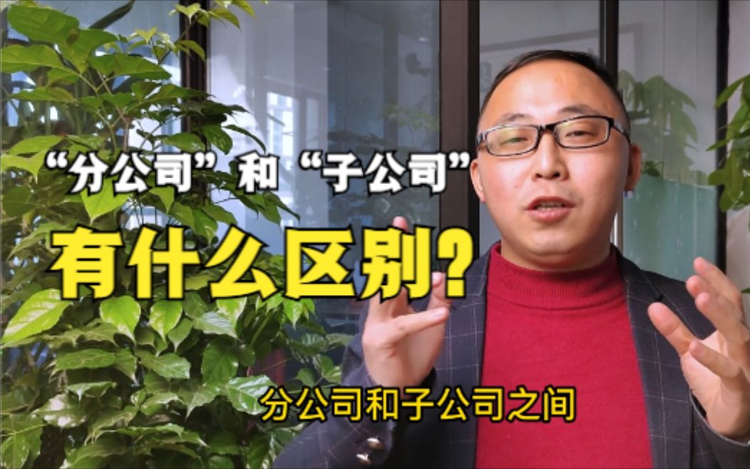 什么是分公司?什么是子公司?分公司和子公司有什么区别?