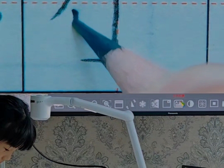 硬笔书法教学投影仪高拍仪