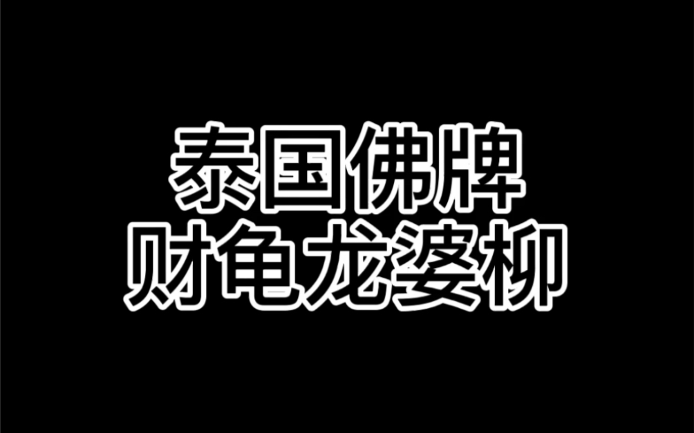 泰国佛牌龙婆柳财龟善加财哔哩哔哩bilibili