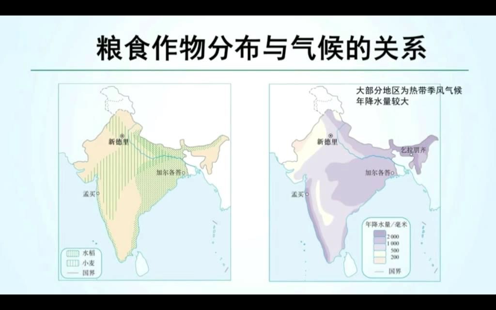 印度、农业、粮食生产、生长习性、西南季风、人口、平原、高原地形、水旱灾害、热带季风气候、水稻小麦(5.5分)哔哩哔哩bilibili