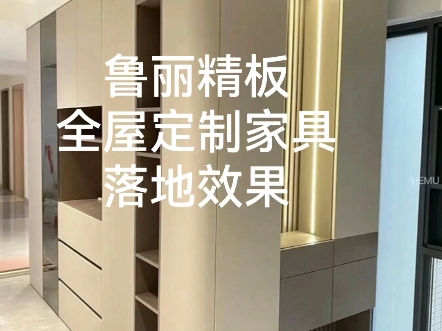 佛山鲁丽精板全屋定制家具落地效果