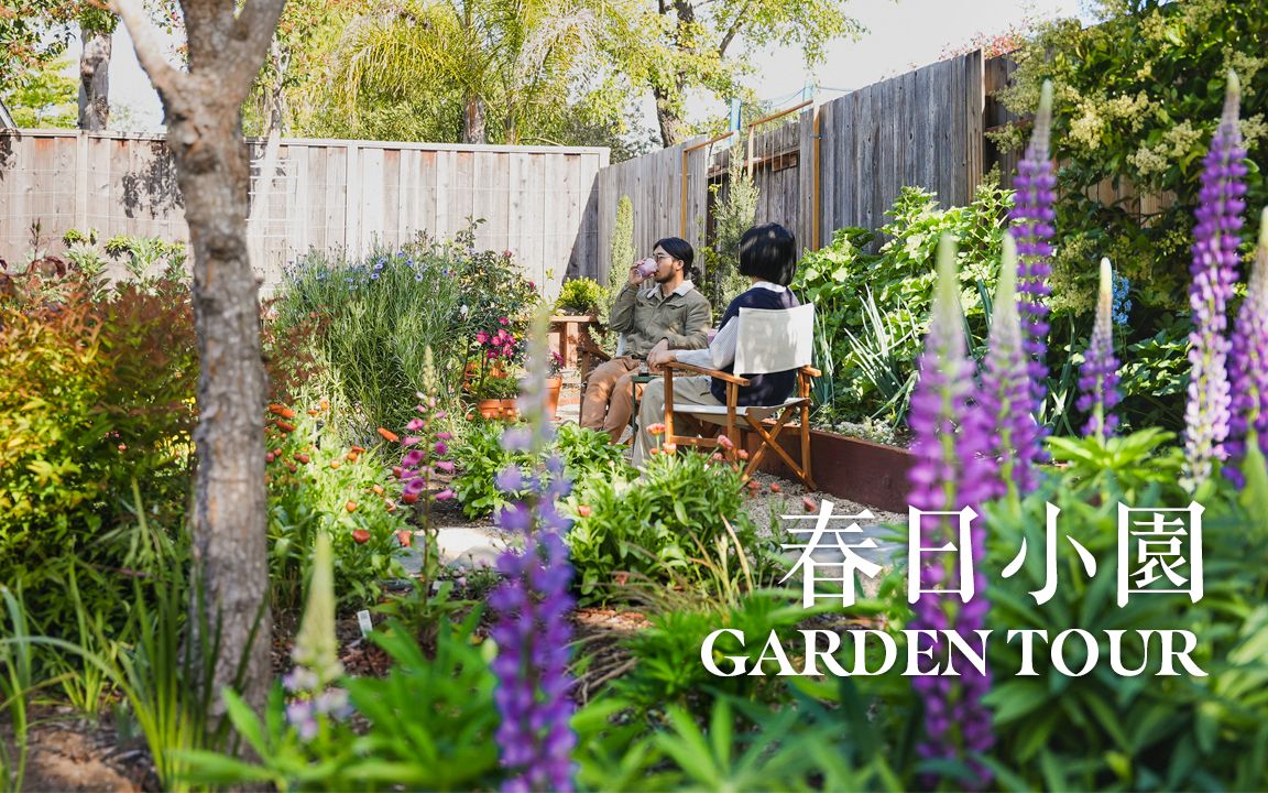 [图]这里的春天我盼了一年｜参观我的食材花园｜葱油蚕豆｜garden tour｜治愈生活｜旮旯造园ep#8