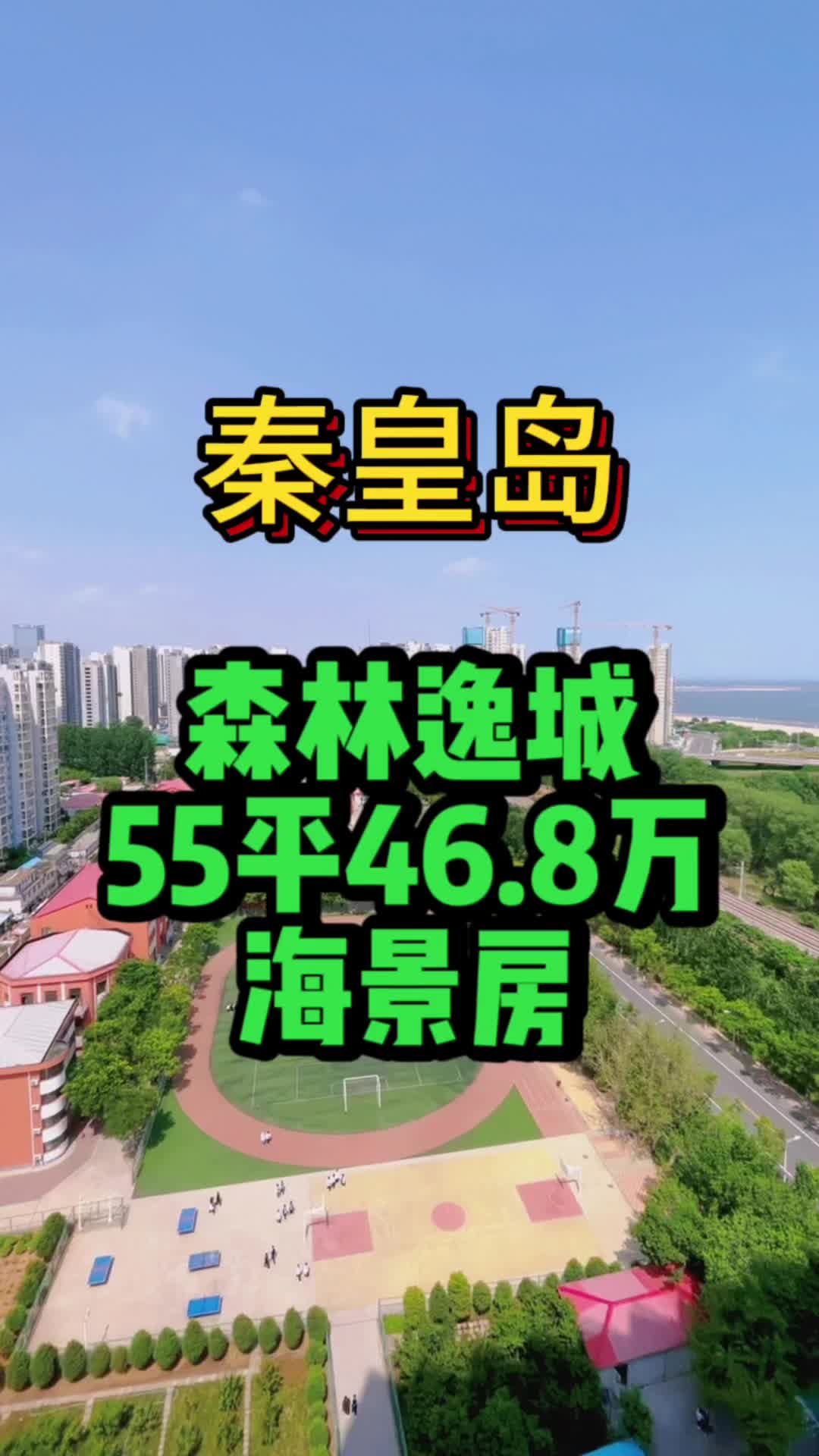 秦皇岛森林逸城的一线海景房,55平的70年住宅公寓!哔哩哔哩bilibili