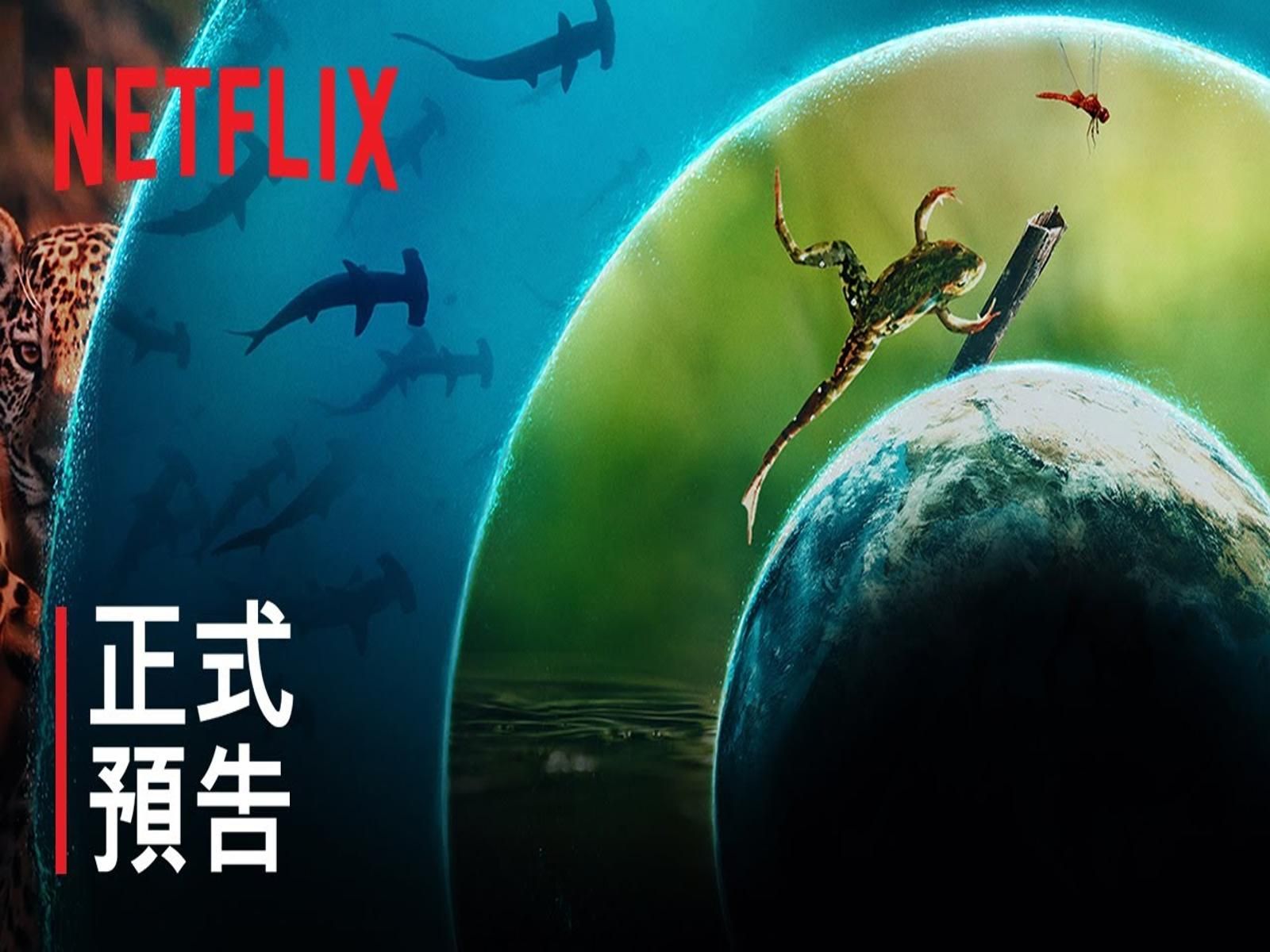 《我们的生物世界》 | 凯特ⷮŠ布兰琪 | 正式预告 | netflix哔哩哔哩bilibili