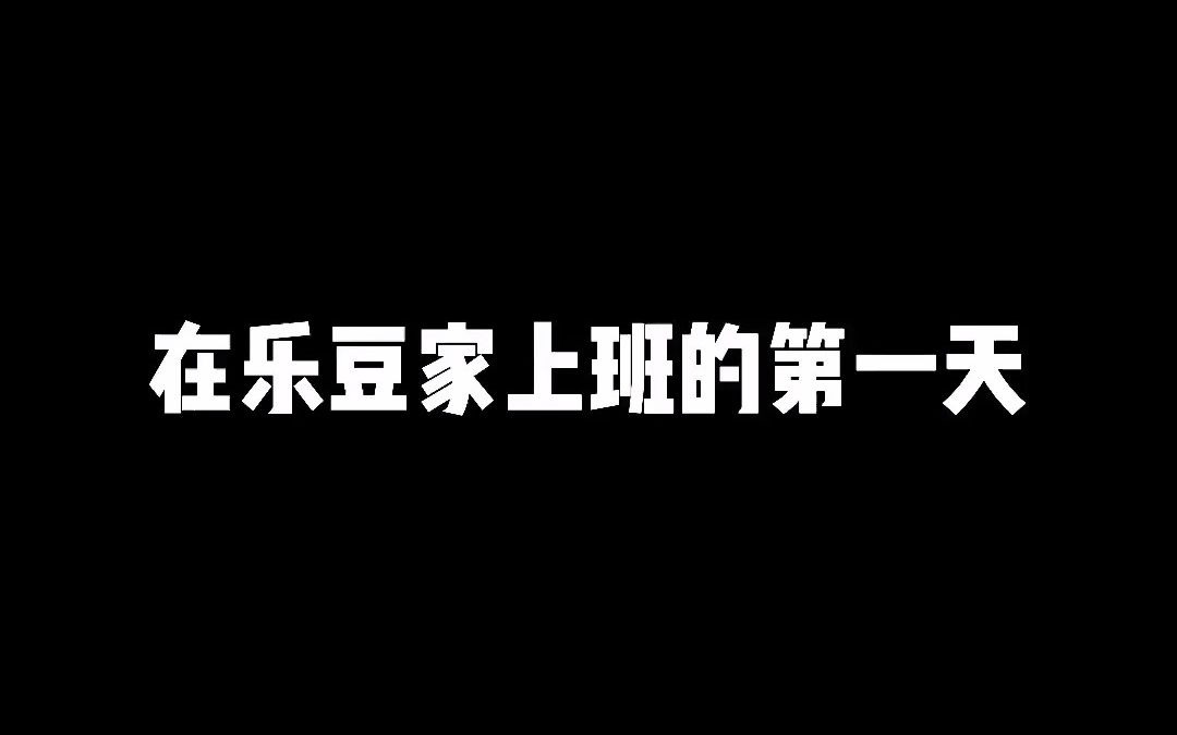 在乐豆家上班是一种什么样的体验呢哔哩哔哩bilibili