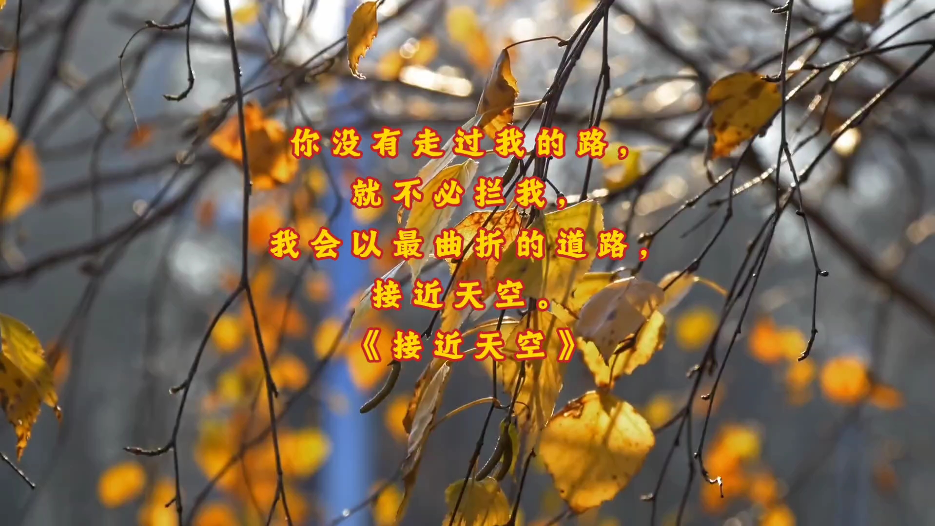 坚定地!走下去!