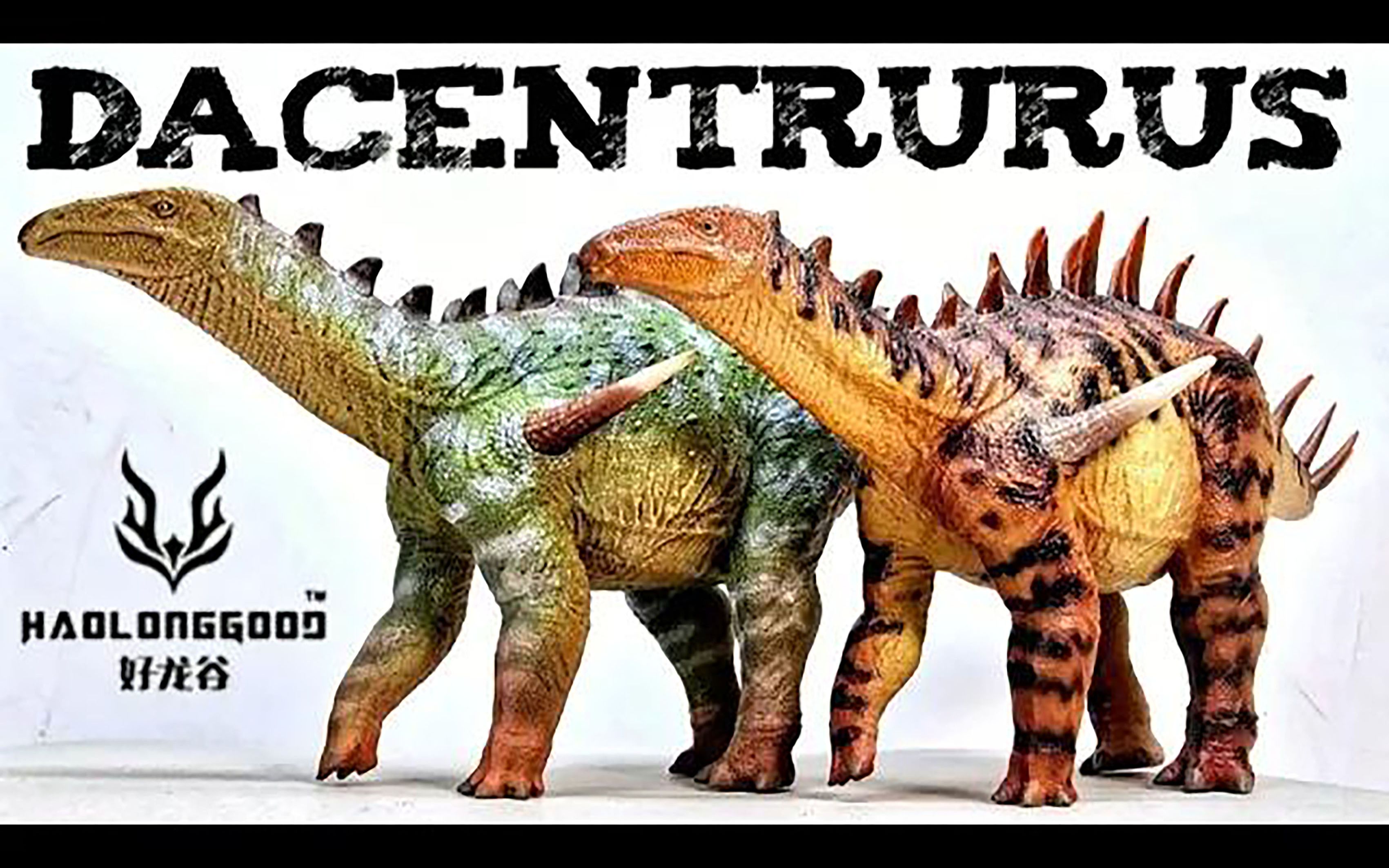 2023 好龙谷 锐龙 评测!两个版本!