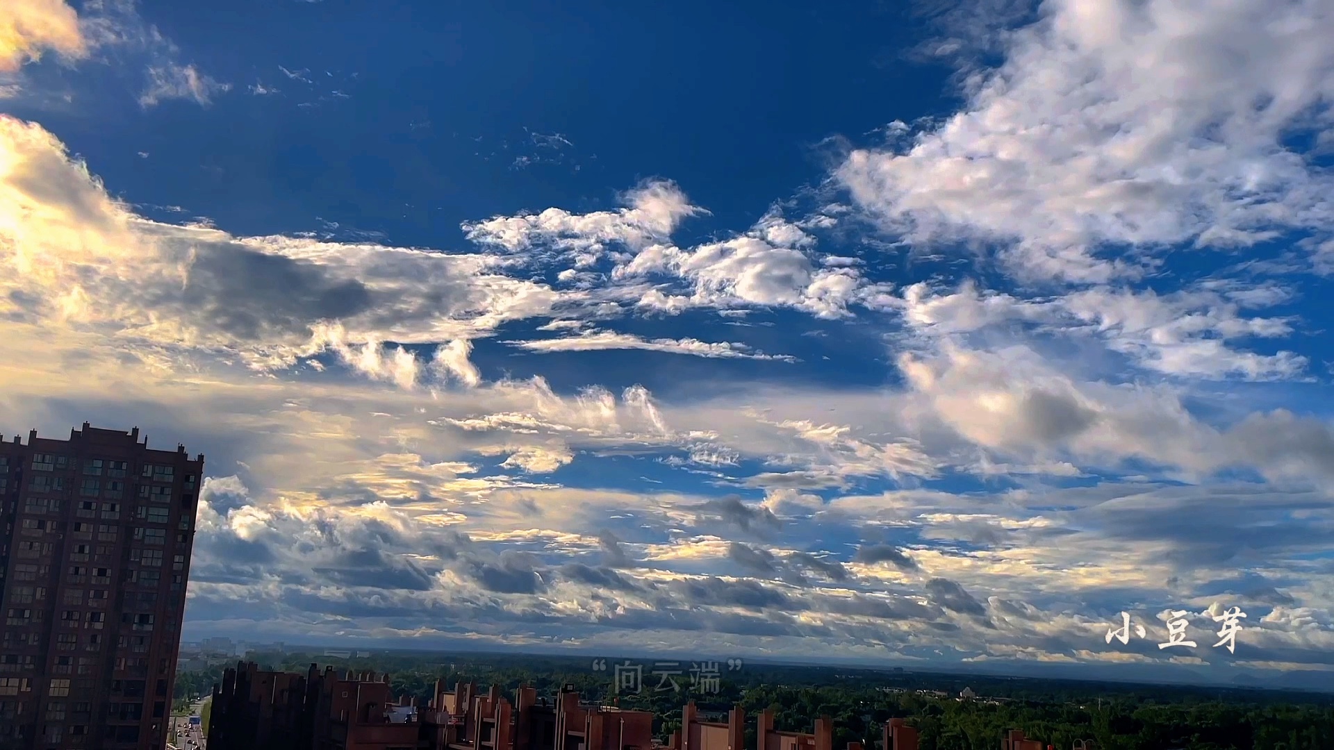 今天的成都——向云端