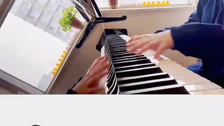 sharksoup虽然是很恐怖的大鱼但也只是一碗汤广州成人学钢琴选梦想