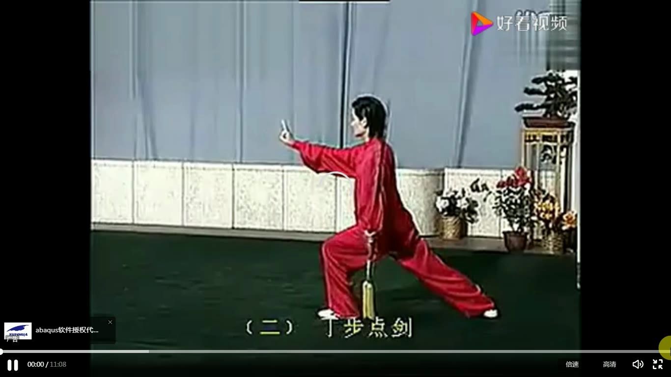 徐勤兰49式太极剑演练图片