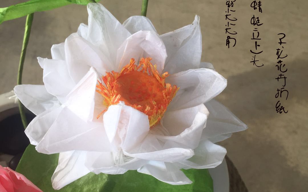 六瓣子龙莲花折纸视频(非教程哦)