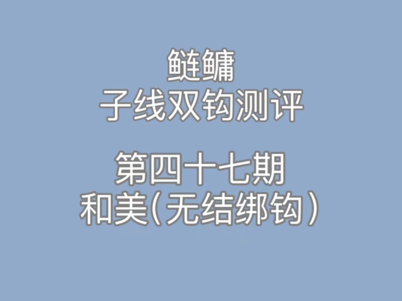 鲢鳙子线双钩测评第四十七期,和美无结绑钩哔哩哔哩bilibili