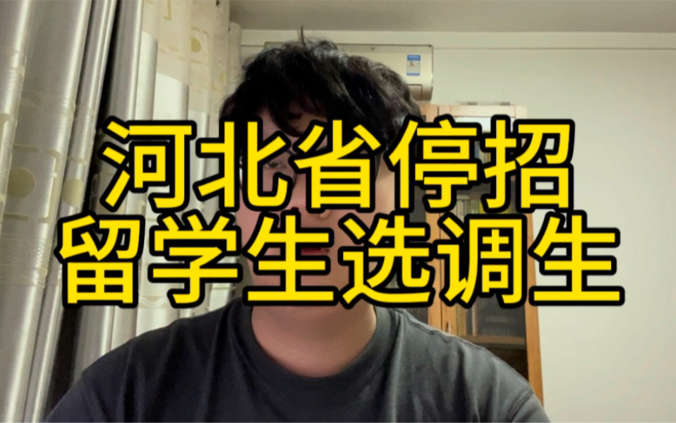 河北省24年停招留学生选调生,留学生学历走体制不香了吗哔哩哔哩bilibili