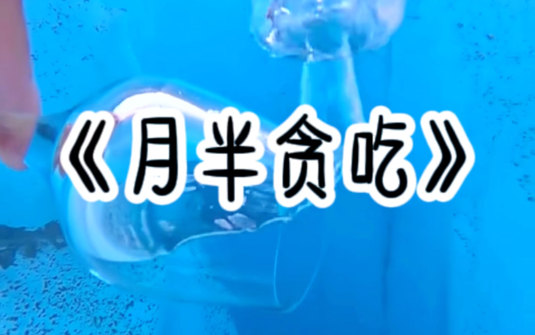 小说推荐《月半贪吃》楼下餐馆的老板娘很漂亮,儿子爱吃她做的饭菜,老公就一次性预交了五万伙食费,陪着儿子一起吃,三个月后,两人查出严重的脂肪...