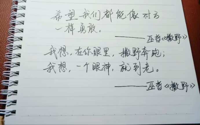 【江湖体】撒野名句