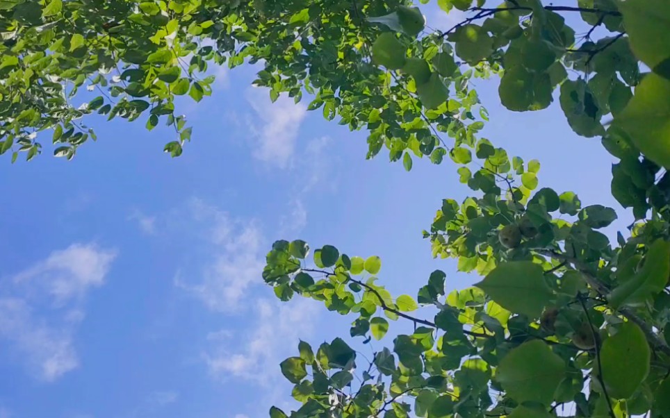 [图]雨后天晴的延时摄影