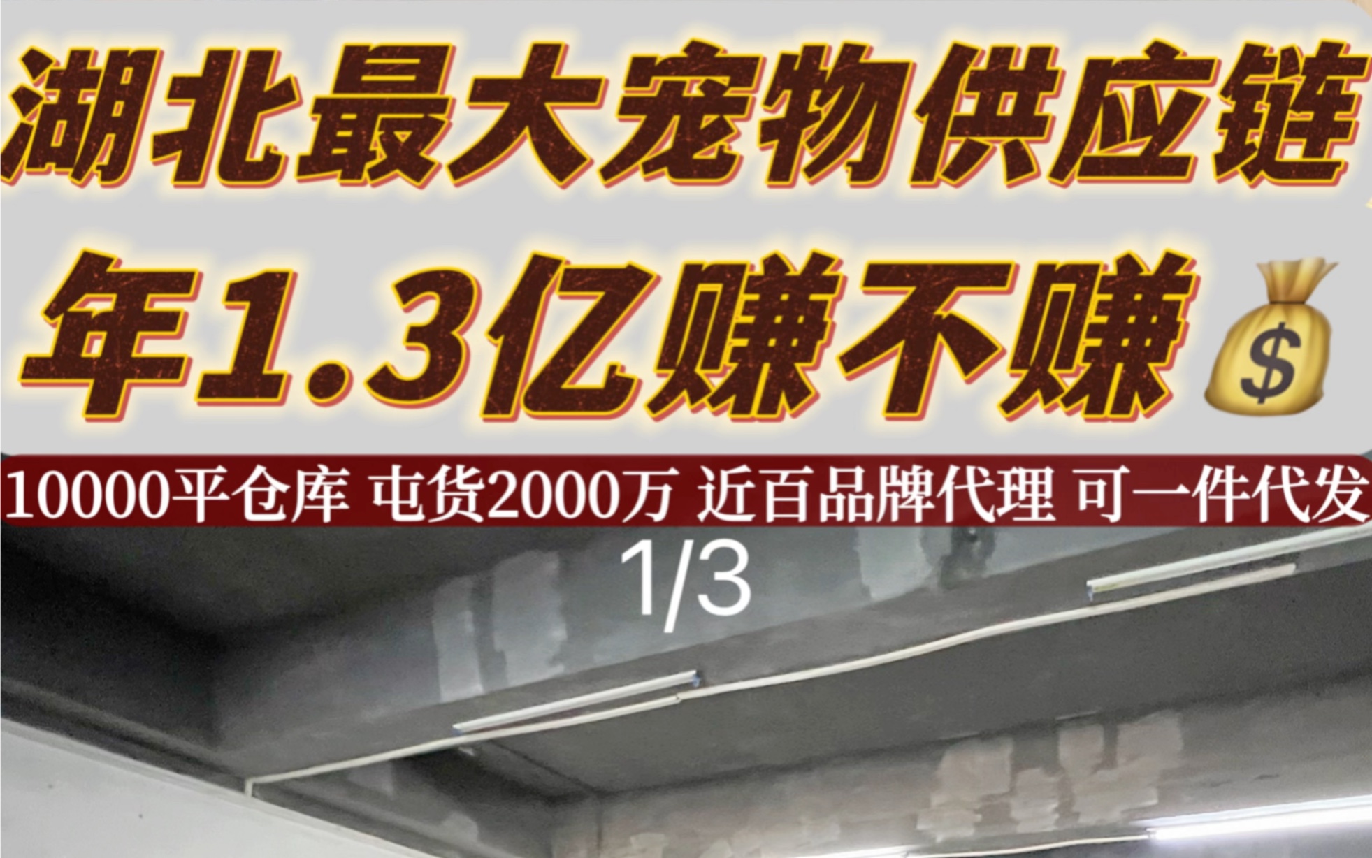 湖北最大宠物供应链 年1.3亿赚不赚钱 第一集哔哩哔哩bilibili