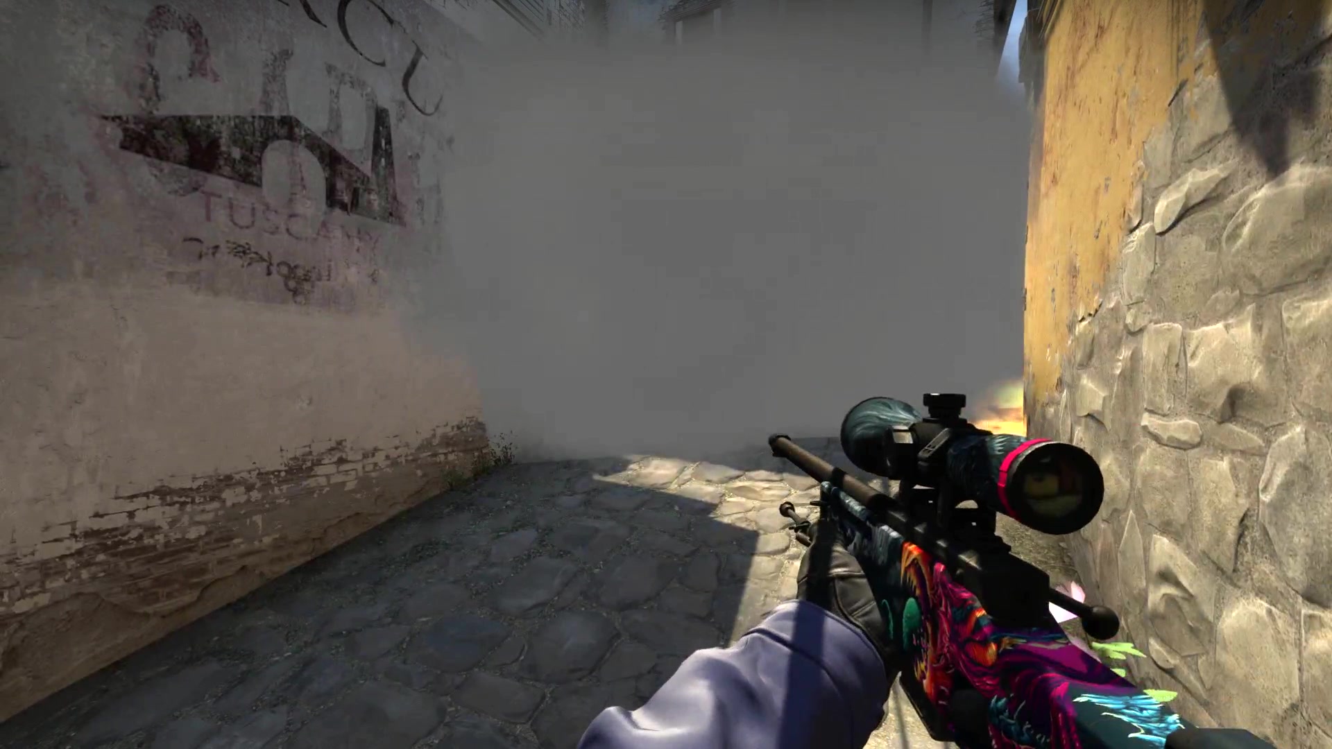 csgo 2019.1.31_哔哩哔哩 (゜-゜)つロ 干杯~-bilibili