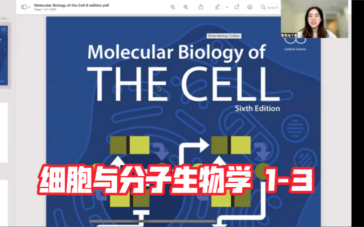 【细胞与分子生物学 第一章2】真核细胞里有什么?线粒体和叶绿体是外星生物么?哔哩哔哩bilibili