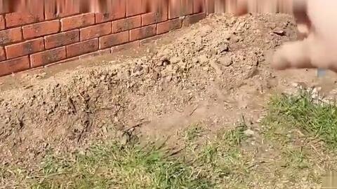 后花园改造 Diy石头花坛 新手首次尝试砌石墙 哔哩哔哩 Bilibili 后花园改造 Diy石头花坛 新手首次尝试砌石墙 哔哩哔哩 Bilibili