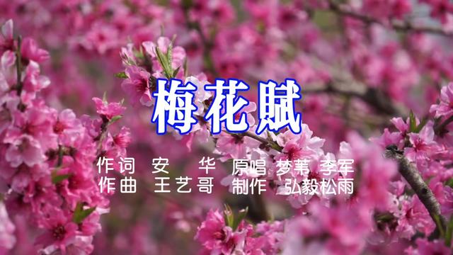 梅花赋京歌图片